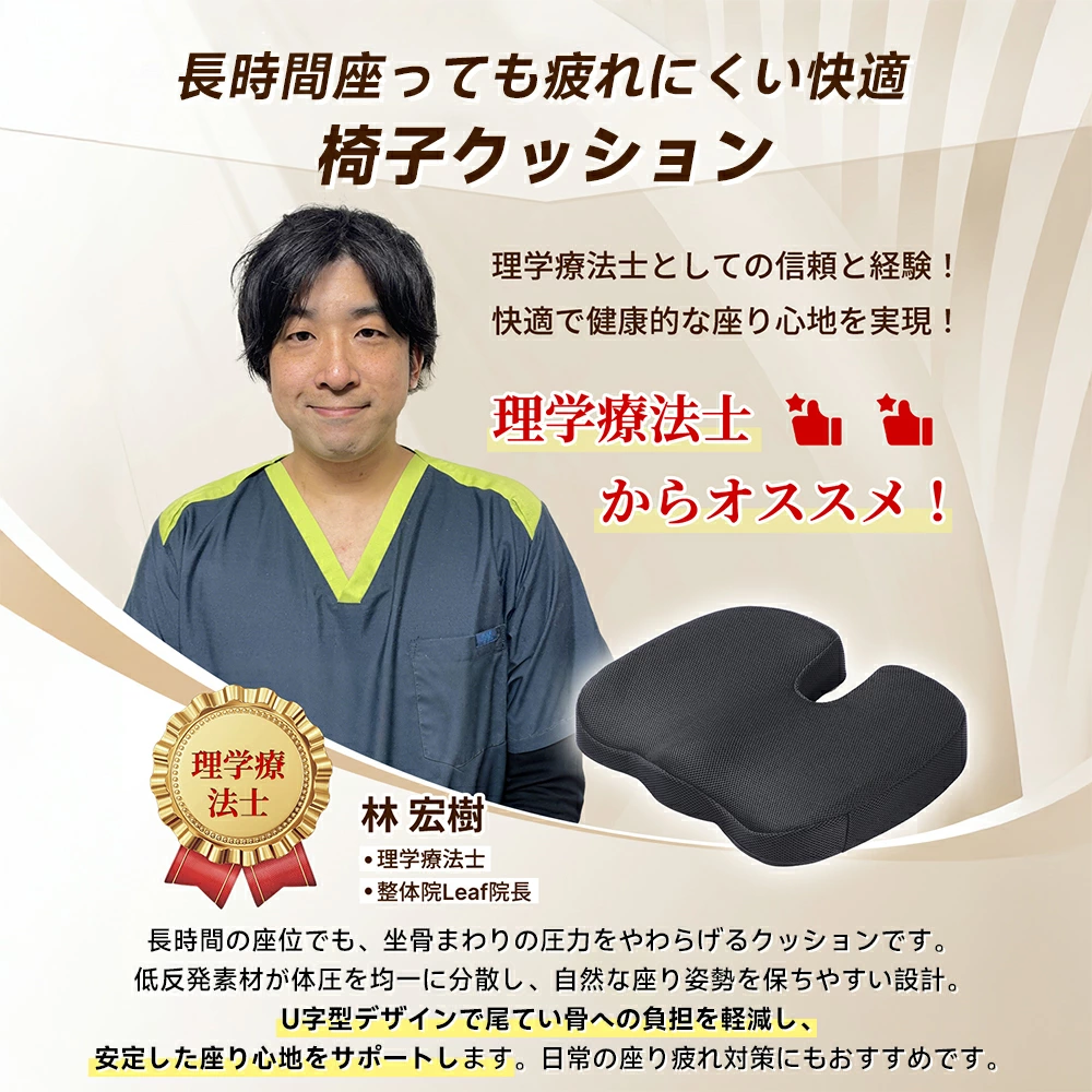 低反発クッション・座布団｜椅子・デスクワークに HAGOOGI HRS-Z04