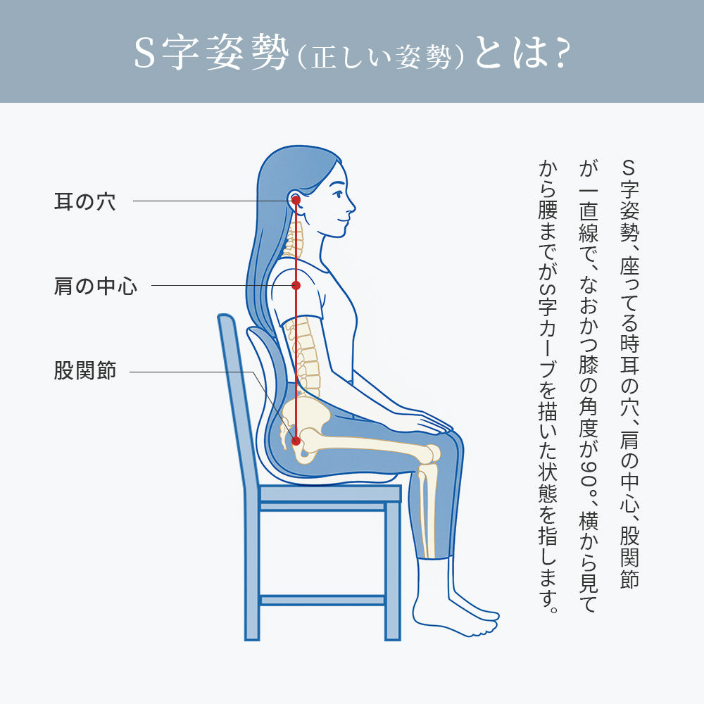 HAGOOGI(ハゴオギ) 【姿勢サポート】姿勢がよくなる椅子 猫背矯正 姿勢 矯正 椅子 チェア 背筋が伸びる 姿勢改善 猫背対策・腰痛予防・長時間作業でも快適 在宅ワーク 勉強用 テレワーク オフィス 子供 大人兼用