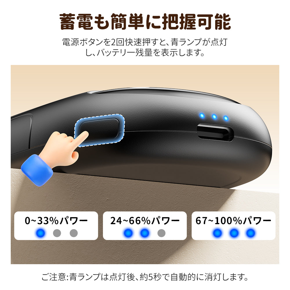HAGOOGI(ハゴオギ) 充電式カイロ パンダ 可愛い カイロ 軽量 2個セット 6000mAh 電気カイロ 省エネ USB充電式 3段階温度調節