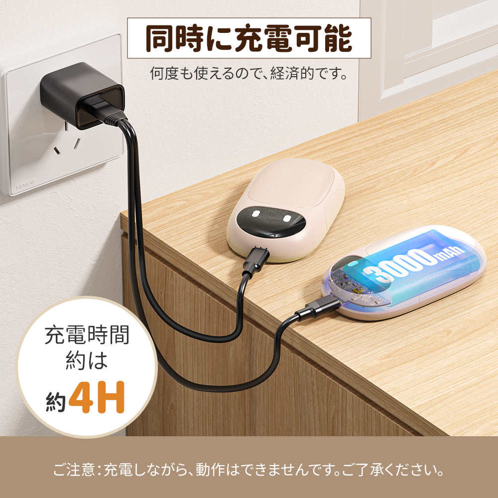 HAGOOGI(ハゴオギ) 充電式カイロ パンダ 可愛い カイロ 軽量 2個セット 6000mAh 電気カイロ 省エネ USB充電式 3段階温度調節