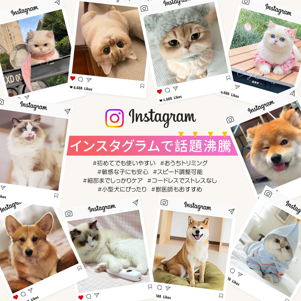 HAGOOGI(ハゴオギ) ペットバリカン 猫 トリマー プロ仕様 ペットトリマー ペット毛刈り機 静音 初心者向け ペット用バリカン 犬猫兼用  小動物用 肌に優しい 充電式 コードレス 水洗い可能